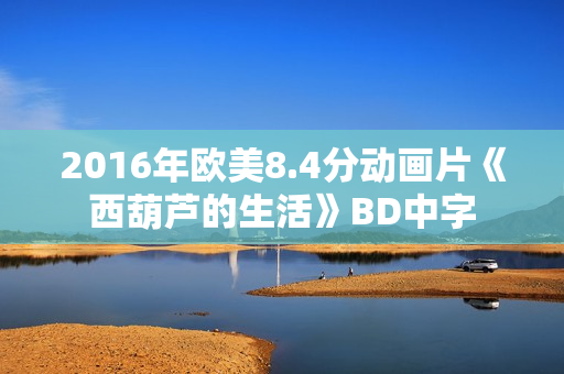 2016年欧美8.4分动画片《西葫芦的生活》BD中字