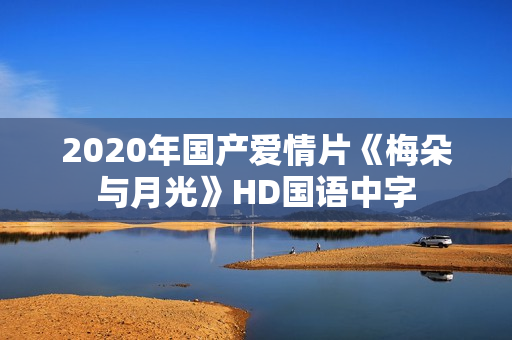 2020年国产爱情片《梅朵与月光》HD国语中字