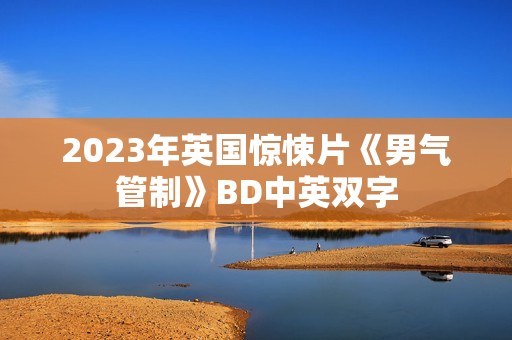 2023年英国惊悚片《男气管制》BD中英双字
