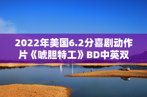 2022年美国6.2分喜剧动作片《唬胆特工》BD中英双字