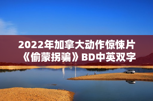 2022年加拿大动作惊悚片《偷蒙拐骗》BD中英双字