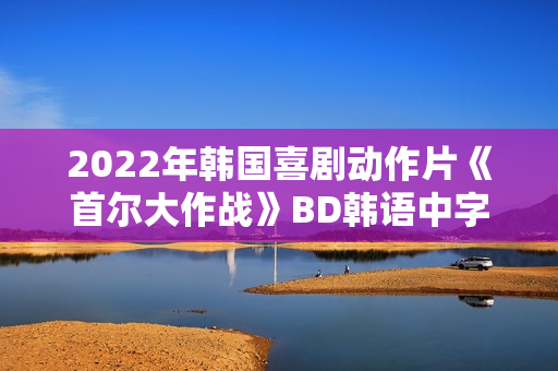 2022年韩国喜剧动作片《首尔大作战》BD韩语中字