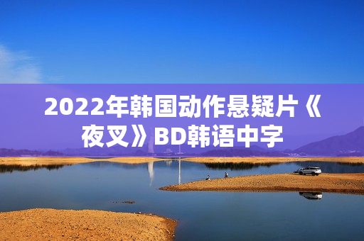 2022年韩国动作悬疑片《夜叉》BD韩语中字