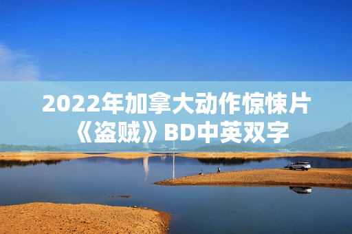 2022年加拿大动作惊悚片《盗贼》BD中英双字