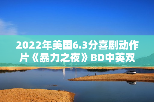 2022年美国6.3分喜剧动作片《暴力之夜》BD中英双字