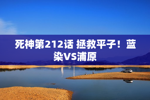 死神第212话 拯救平子！蓝染VS浦原