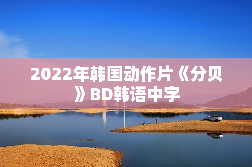 2022年韩国动作片《分贝》BD韩语中字