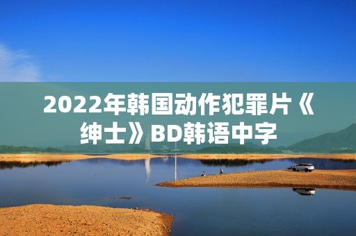 2022年韩国动作犯罪片《绅士》BD韩语中字