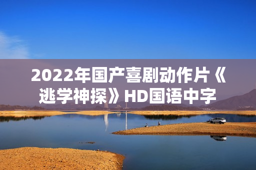 2022年国产喜剧动作片《逃学神探》HD国语中字