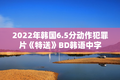 2022年韩国6.5分动作犯罪片《特送》BD韩语中字