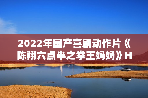 2022年国产喜剧动作片《陈翔六点半之拳王妈妈》HD国语中字