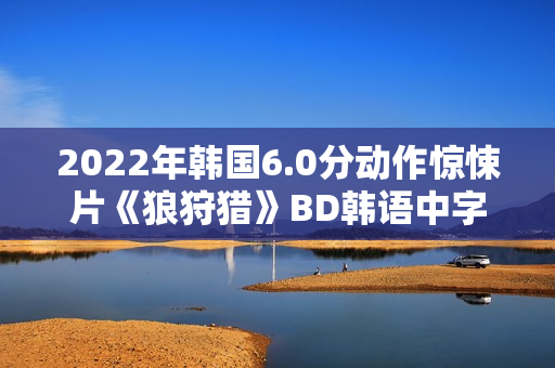2022年韩国6.0分动作惊悚片《狼狩猎》BD韩语中字