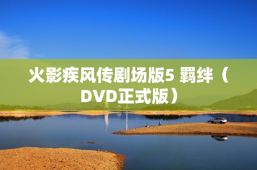 火影疾风传剧场版5 羁绊（DVD正式版）
