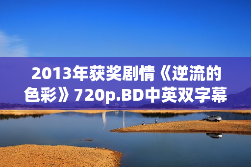 2013年获奖剧情《逆流的色彩》720p.BD中英双字幕