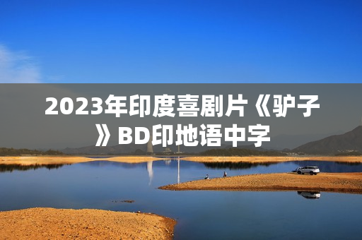 2023年印度喜剧片《驴子》BD印地语中字