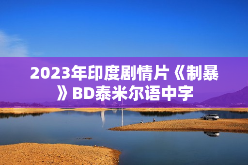 2023年印度剧情片《制暴》BD泰米尔语中字