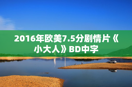 2016年欧美7.5分剧情片《小大人》BD中字