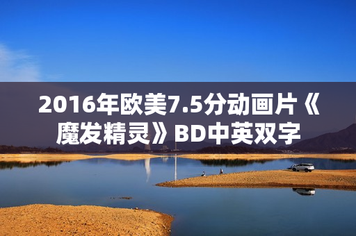 2016年欧美7.5分动画片《魔发精灵》BD中英双字
