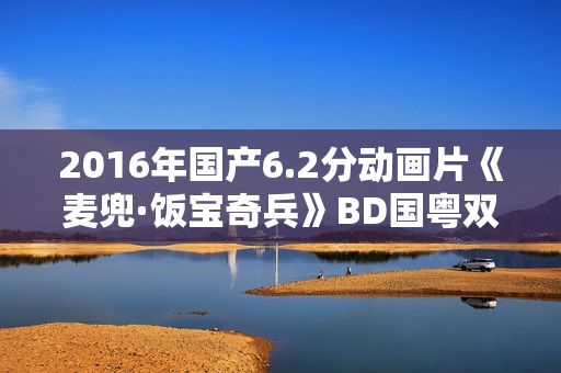 2016年国产6.2分动画片《麦兜·饭宝奇兵》BD国粤双语中字