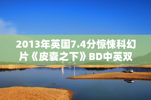 2013年英国7.4分惊悚科幻片《皮囊之下》BD中英双字