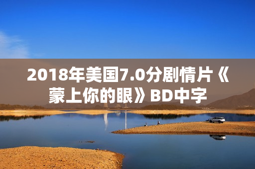 2018年美国7.0分剧情片《蒙上你的眼》BD中字