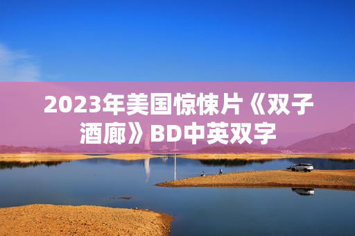 2023年美国惊悚片《双子酒廊》BD中英双字