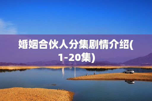 婚姻合伙人分集剧情介绍(1-20集)