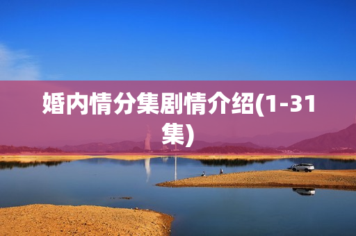 婚内情分集剧情介绍(1-31集)