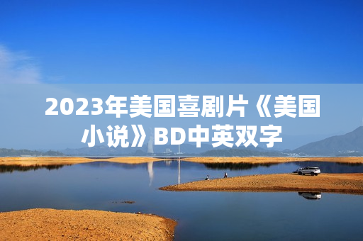 2023年美国喜剧片《美国小说》BD中英双字