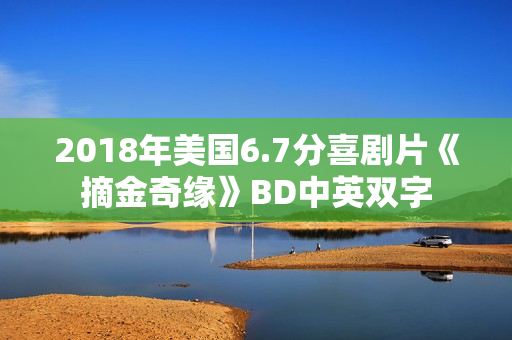 2018年美国6.7分喜剧片《摘金奇缘》BD中英双字