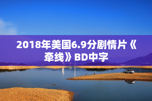 2018年美国6.9分剧情片《牵线》BD中字