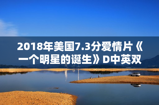 2018年美国7.3分爱情片《一个明星的诞生》D中英双字