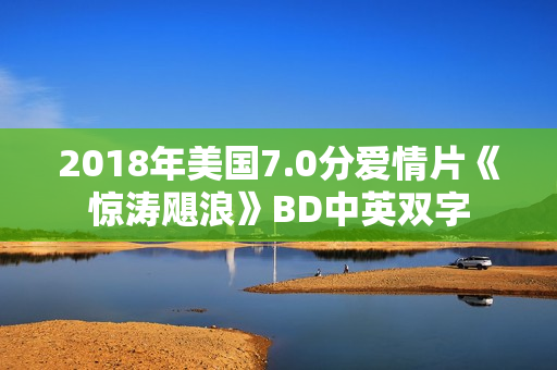2018年美国7.0分爱情片《惊涛飓浪》BD中英双字