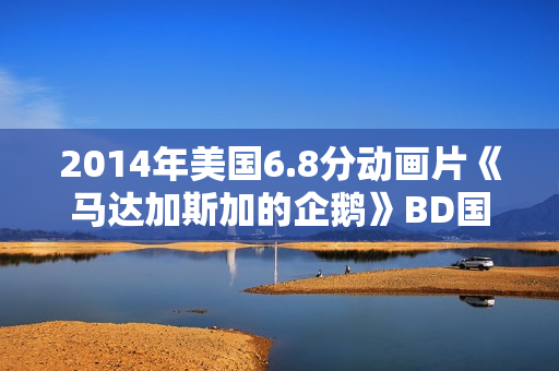 2014年美国6.8分动画片《马达加斯加的企鹅》BD国英双语双字