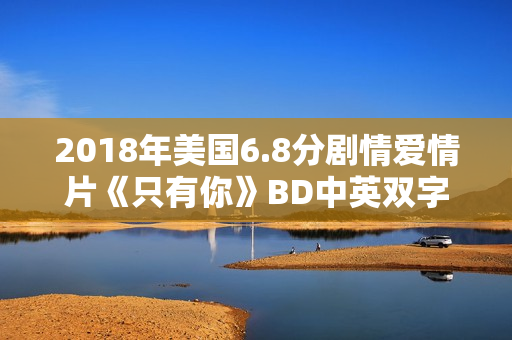 2018年美国6.8分剧情爱情片《只有你》BD中英双字