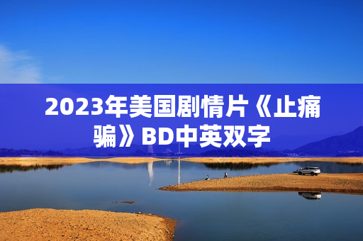 2023年美国剧情片《止痛骗》BD中英双字 2023年美国剧情片《止痛骗》BD中英双字