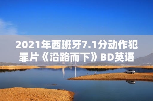 2021年西班牙7.1分动作犯罪片《沿路而下》BD英语中字