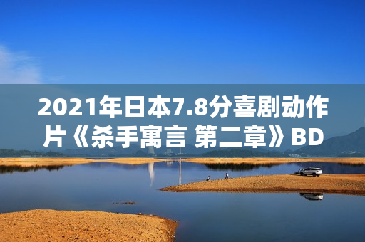 2021年日本7.8分喜剧动作片《杀手寓言 第二章》BD日语中字