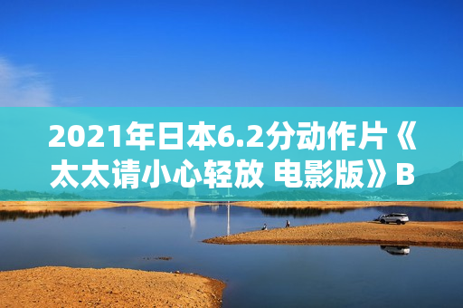 2021年日本6.2分动作片《太太请小心轻放 电影版》BD日语中字 2021年日本6.2分动作片《太太请小心轻放 电影版》BD日语中字