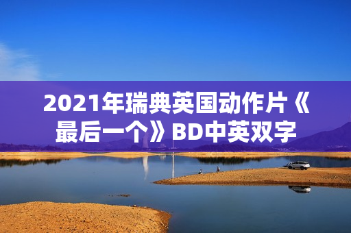 2021年瑞典英国动作片《最后一个》BD中英双字