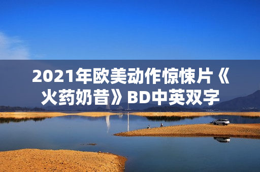 2021年欧美动作惊悚片《火药奶昔》BD中英双字