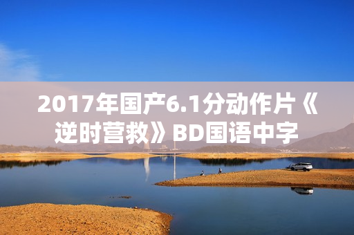 2017年国产6.1分动作片《逆时营救》BD国语中字