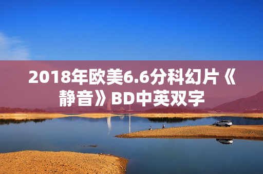 2018年欧美6.6分科幻片《静音》BD中英双字