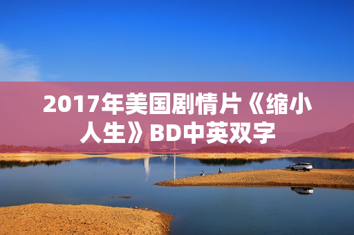 2017年美国剧情片《缩小人生》BD中英双字 2017年美国剧情片《缩小人生》BD中英双字