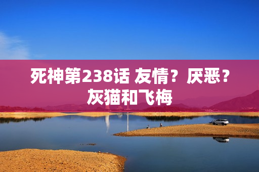死神第238话 友情?厌恶?灰猫和飞梅 死神第238话 友情?厌恶?灰猫和飞梅