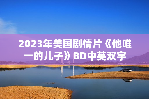 2023年美国剧情片《他唯一的儿子》BD中英双字 2023年美国剧情片《他唯一的儿子》BD中英双字