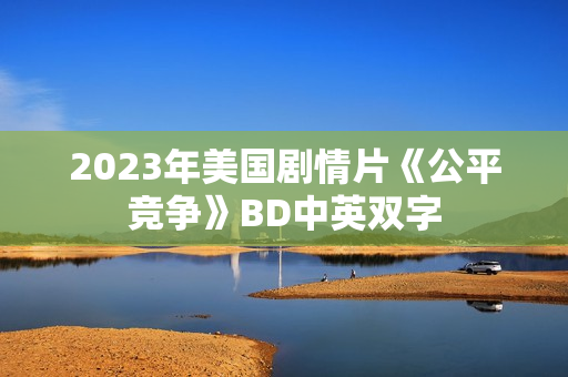 2023年美国剧情片《公平竞争》BD中英双字