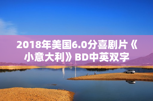 2018年美国6.0分喜剧片《小意大利》BD中英双字