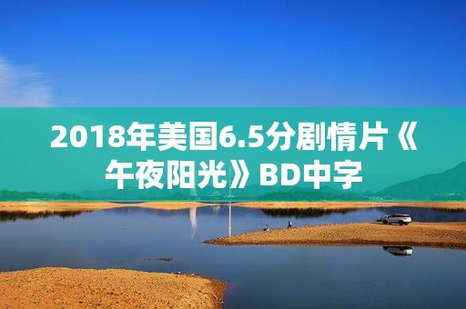 2018年美国6.5分剧情片《午夜阳光》BD中字