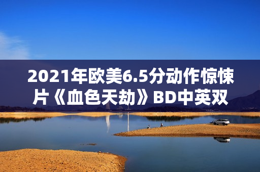 2021年欧美6.5分动作惊悚片《血色天劫》BD中英双字
